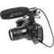 Azden SGM-250MX Mini-XLR Short Shotgun Microphone for Blackmagic Pocket Cinema (Shockmount, Phantom Only)